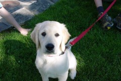 2007_06_17_MGB_Brunch_15_