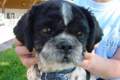 2007_06_17_MGB_Brunch_18_