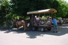 2007_06_17_MGB_Brunch_48_