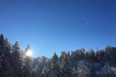 K800_IMG_9619